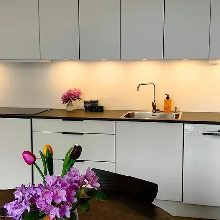 Апартаменты In Breiviken, *
